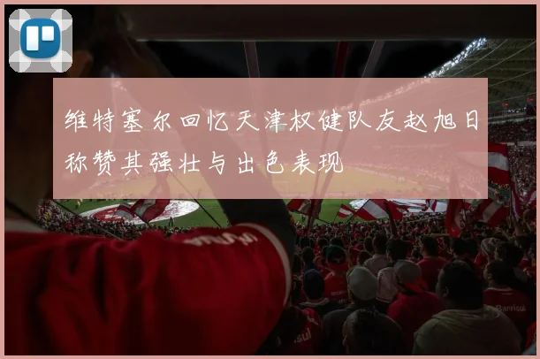 维特塞尔回忆天津权健队友赵旭日称赞其强壮与出色表现