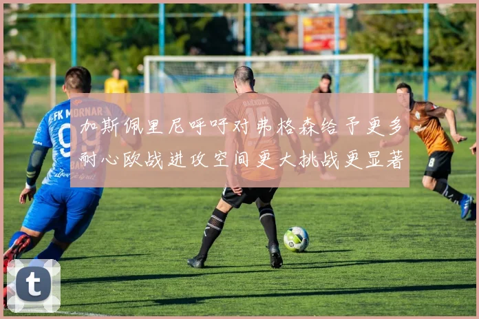 加斯佩里尼呼吁对弗格森给予更多耐心欧战进攻空间更大挑战更显著