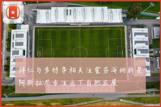 拜仁与多特争相关注霍芬海姆新星阿斯拉尼专注当下自然发展