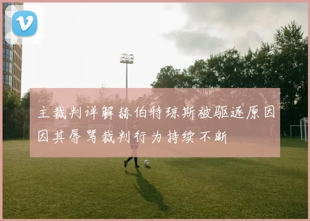 主裁判详解赫伯特琼斯被驱逐原因因其辱骂裁判行为持续不断